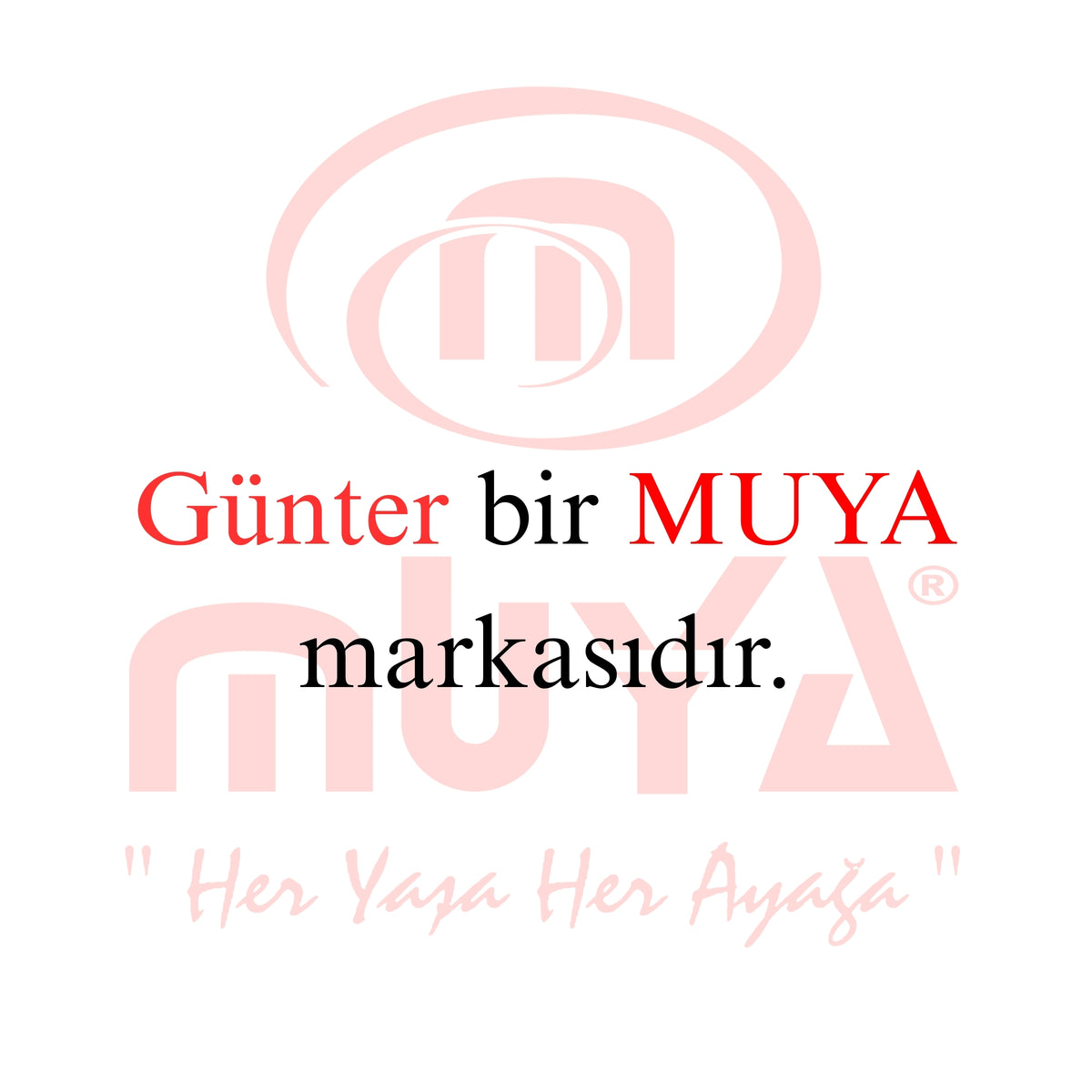 Günter 35262