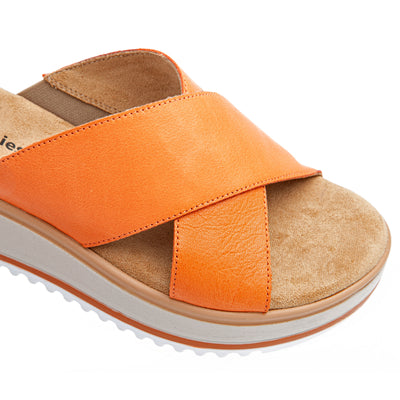 Hush Puppies Hou